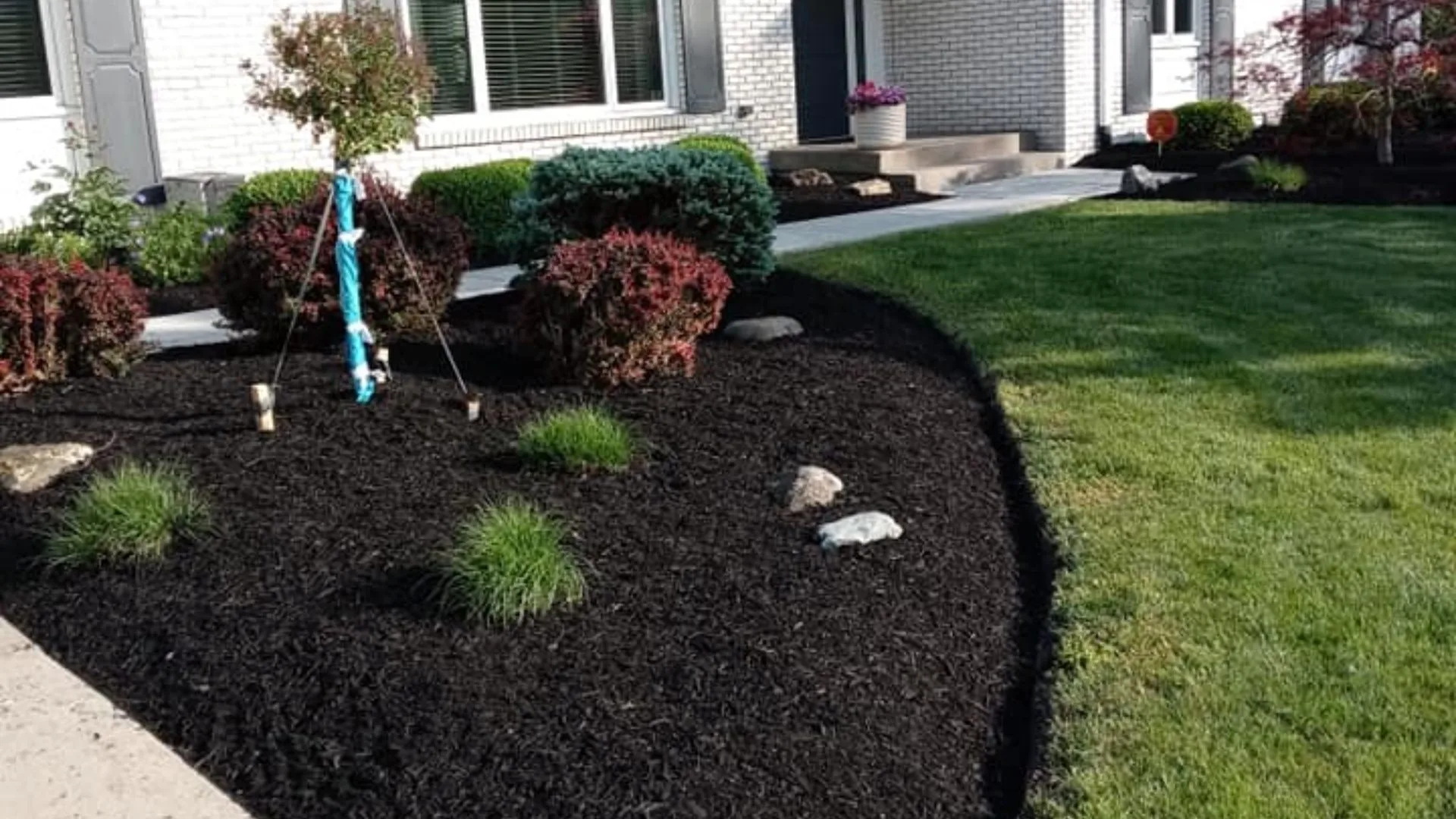 Front yard landscaping with landscape bed in Butler-Tarkington, IN.