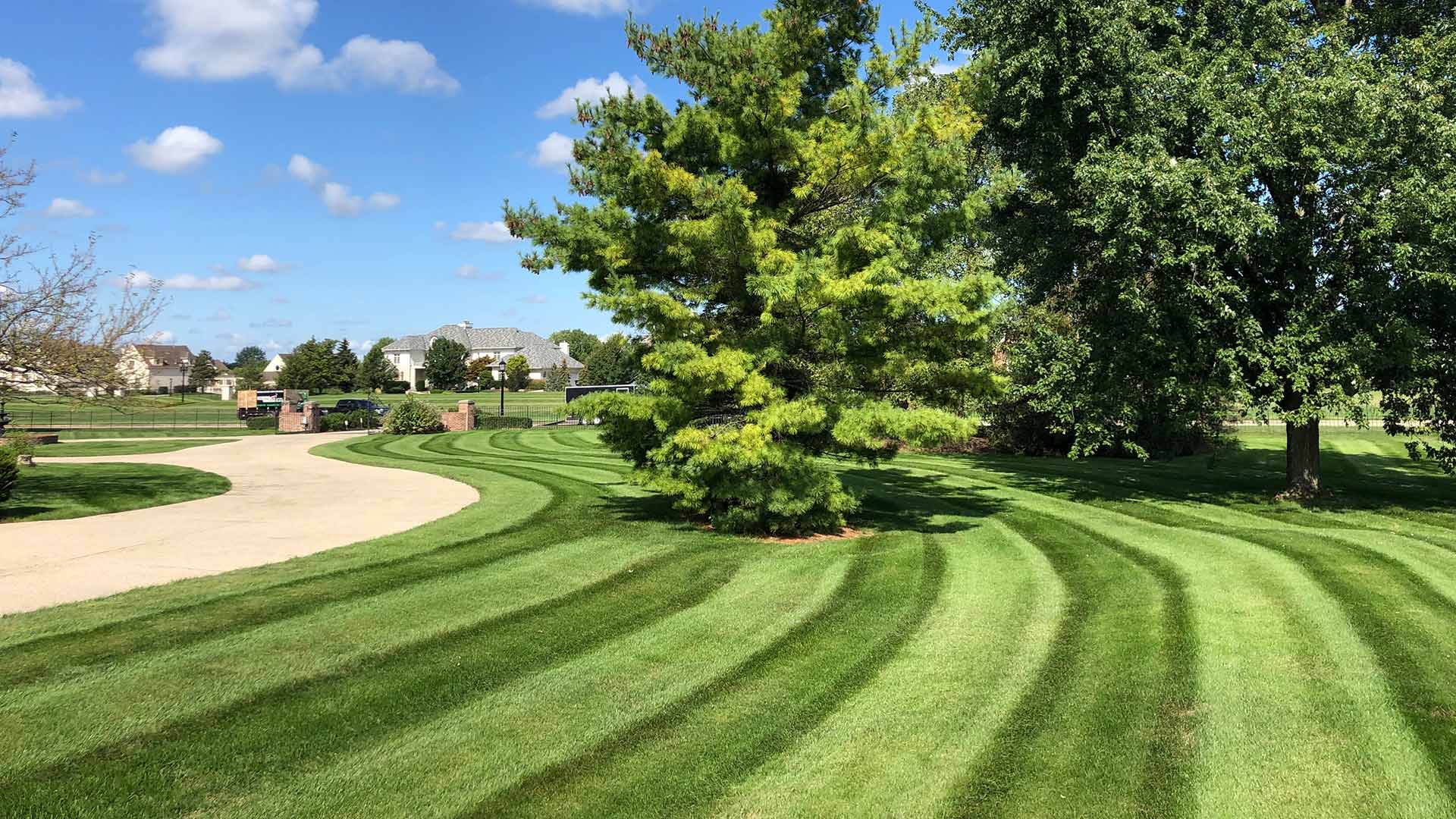 Carmel, IN home with freshly mowed lawn and healthy yard.