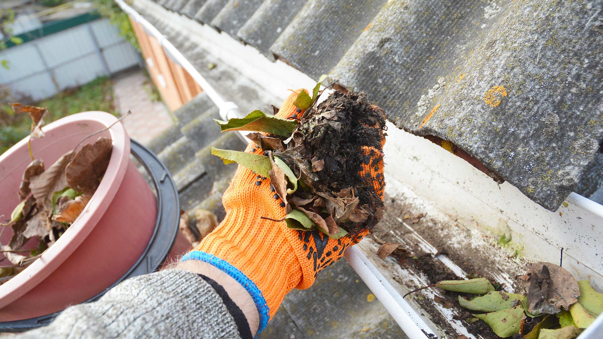 How Often Should You Be Cleaning Out Your Gutters?