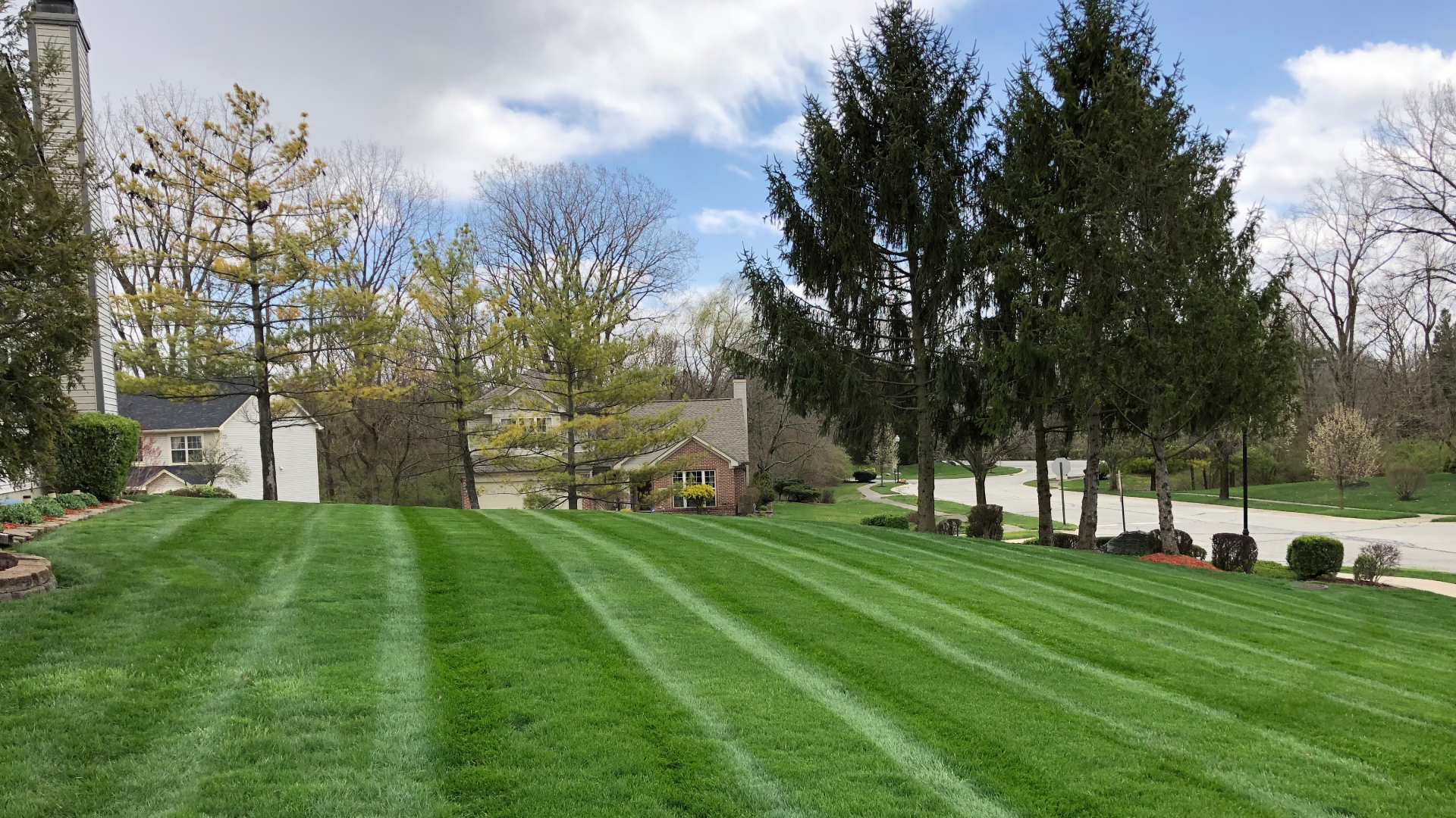 Mowed lawn with stripe patterns added in Meridian Hills, IN.