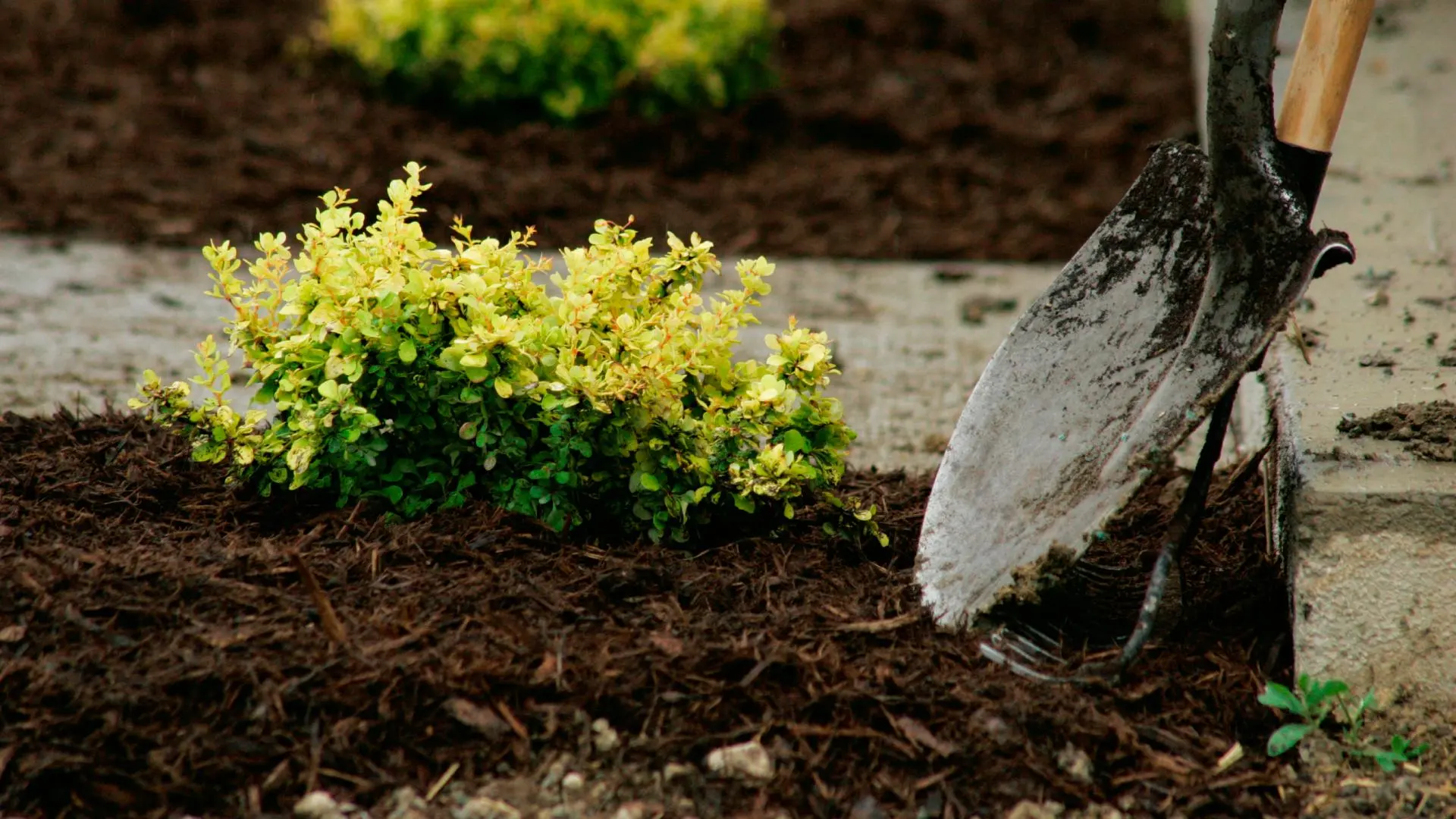 3 Reasons Why You Need to Replenish Your Mulch in the Spring