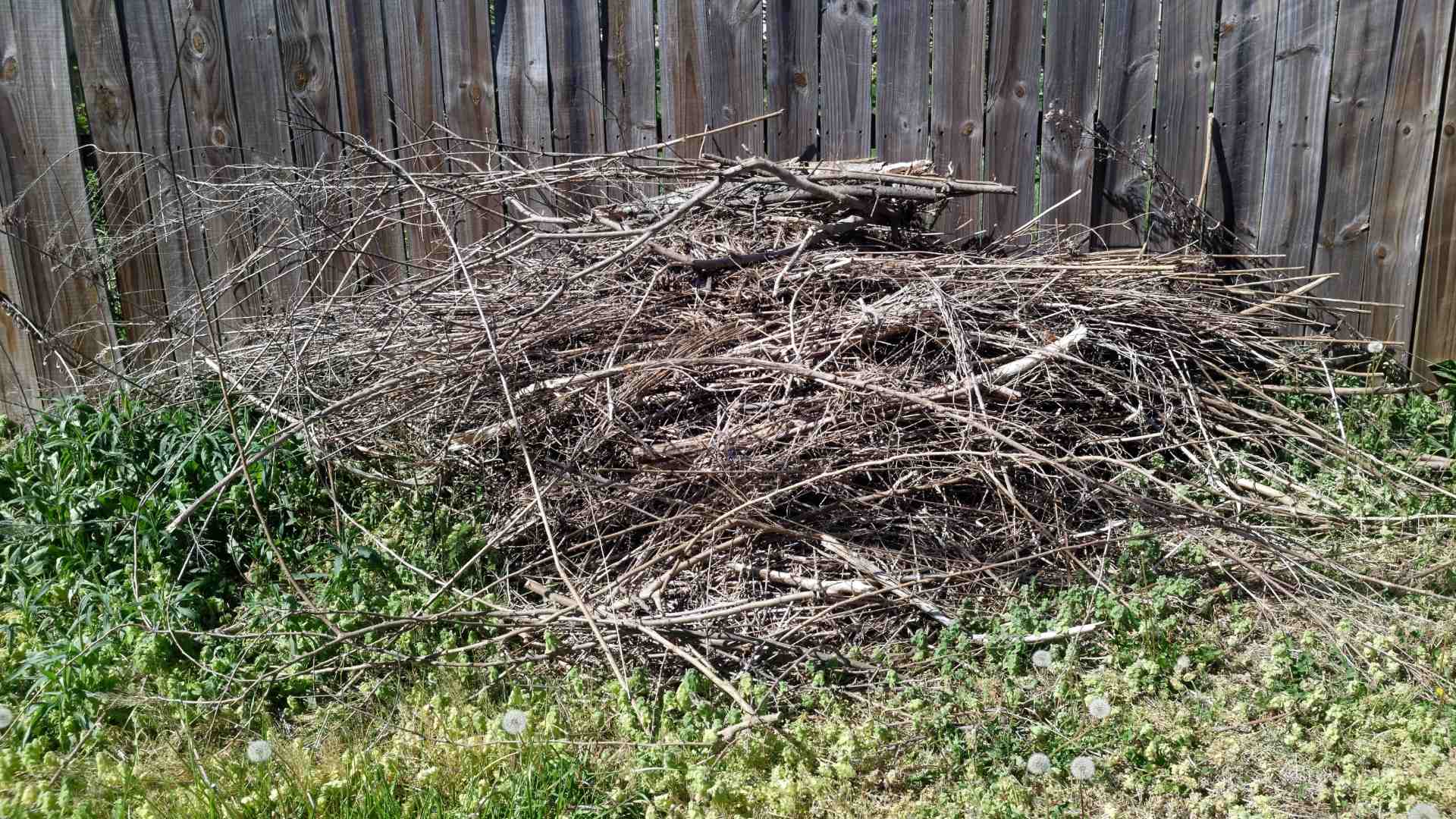 Cleaning up Lawn Debris in the Spring Is More Important Than You Think