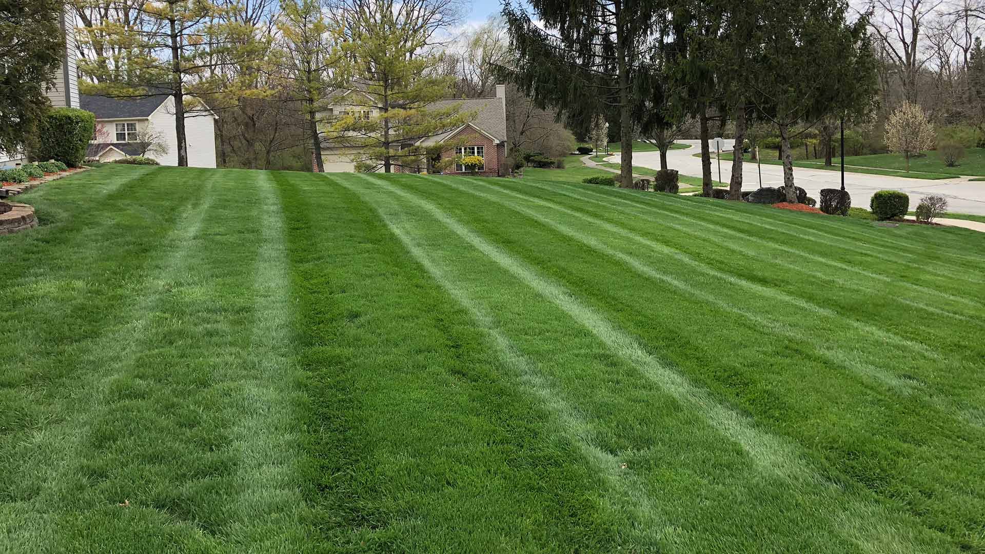 Zionsville, IN property with fresh mowing services.