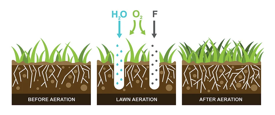 Core aeration infographic for lawns in Fishers, IN.