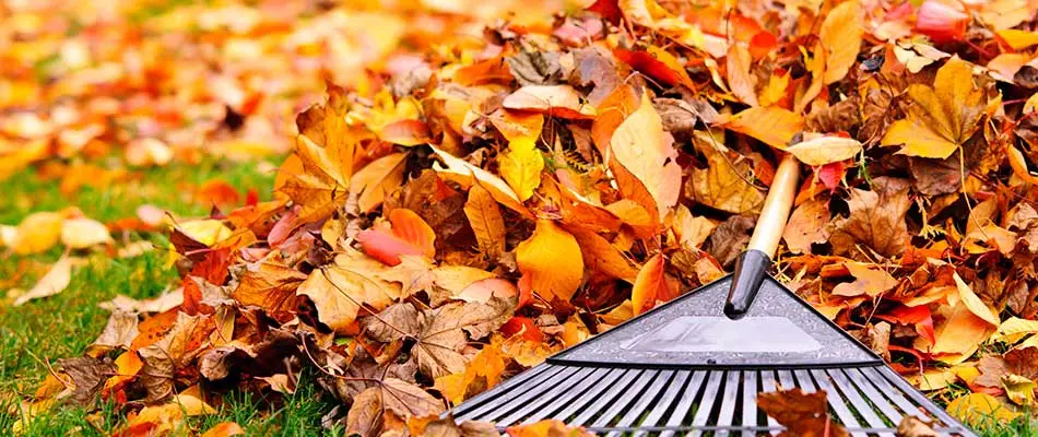 4 Lawn & Landscaping Tasks You CAN'T Forget This Fall