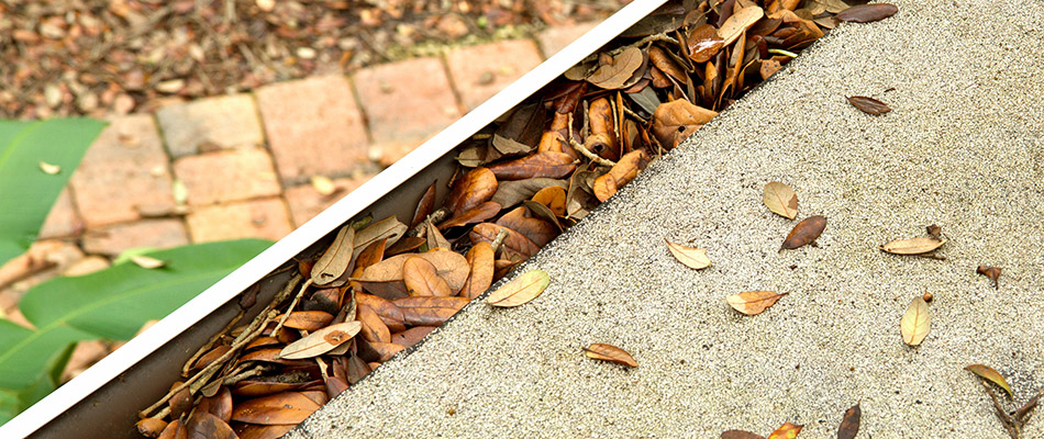 Get your Leaves out of the Gutter