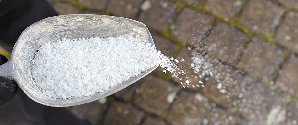 A Few Tips to Prevent Salt Damage to Your Lawn