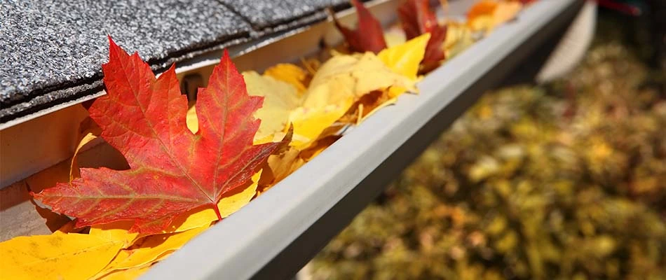 Picture of fall leaves in a gutter before getting cleaned out