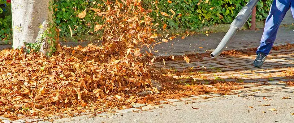 Picture of a pile of leaves being blown during fall cleanup
