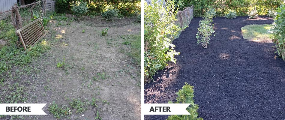 Before and after landscape renovation in Carmel, Indiana.