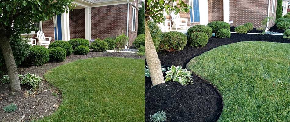 Before and after landscape bed cleanup and mulch installation in Carmel, IN.