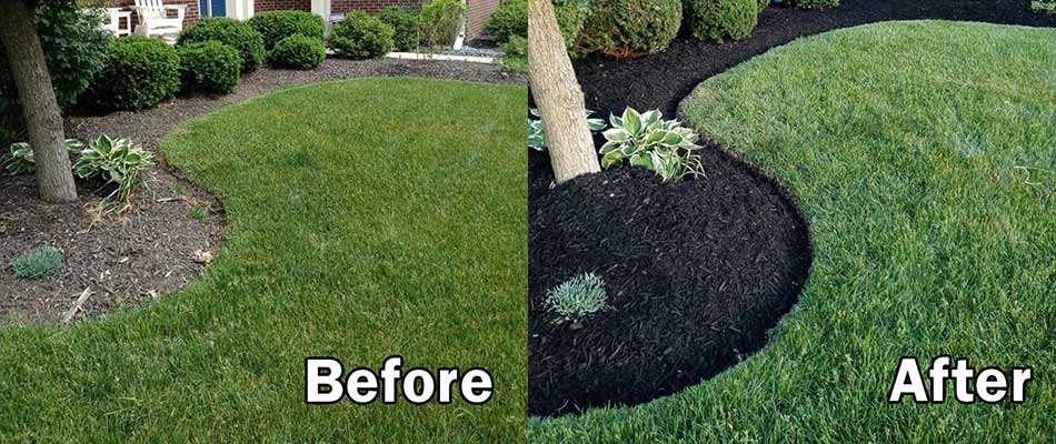 Before and after mulch installation in Zionsville, IN.