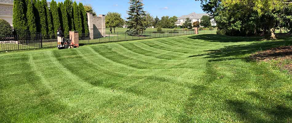 Lawn after mowed with strip patterns in Carmel, IN.