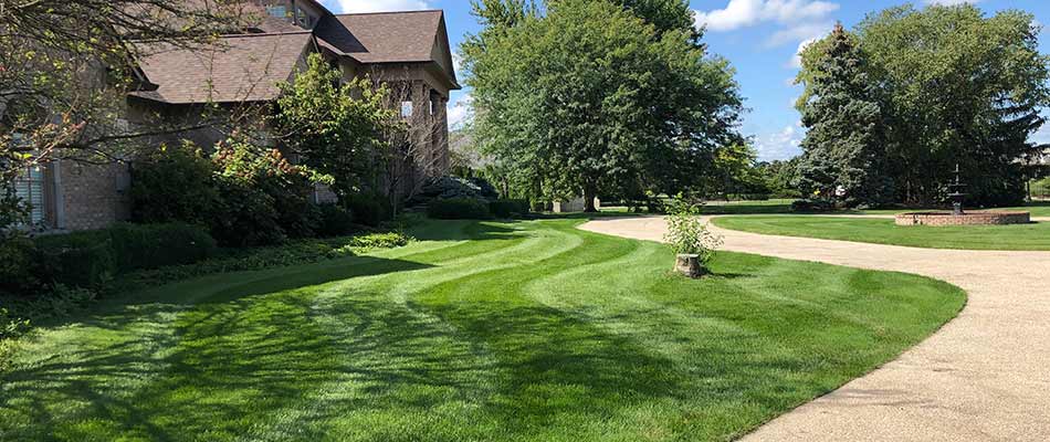 Home lawn with regular maintenance in Fishers, Indiana.