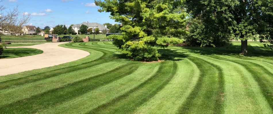 Freshly mowed lawn with added stripe patterns in Carmel, IN.