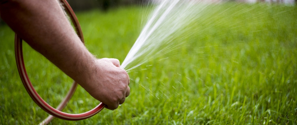 Hand watering lawn to prevent chinch bug damage in Carmel, IN.