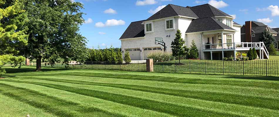 A lawn with mowing services near North Indy, Indiana.