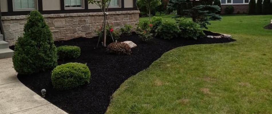 Mulch installed for home front landscape bed in Broad Ripple, IN.