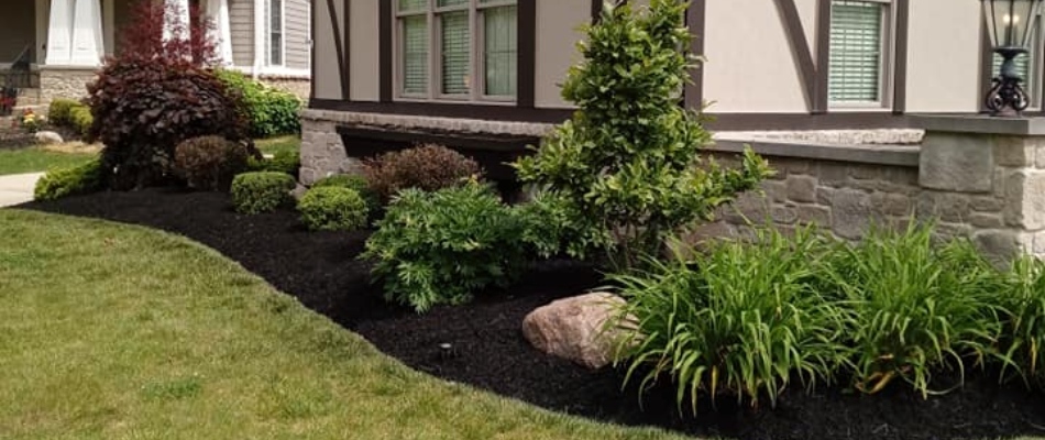 Landscape bed with mulch installed in Castleton, IN.