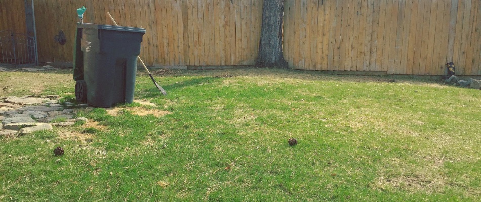 Patchy lawn due to lack of nutrients from debris on yard in Westfield, IN.