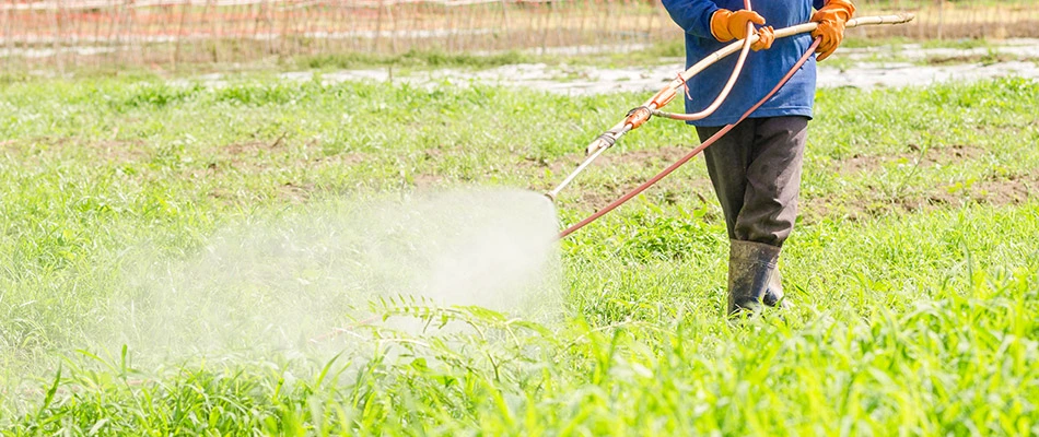 Precision cutz employee spraying using liquid to aerate a lawn near Carmel, IN.