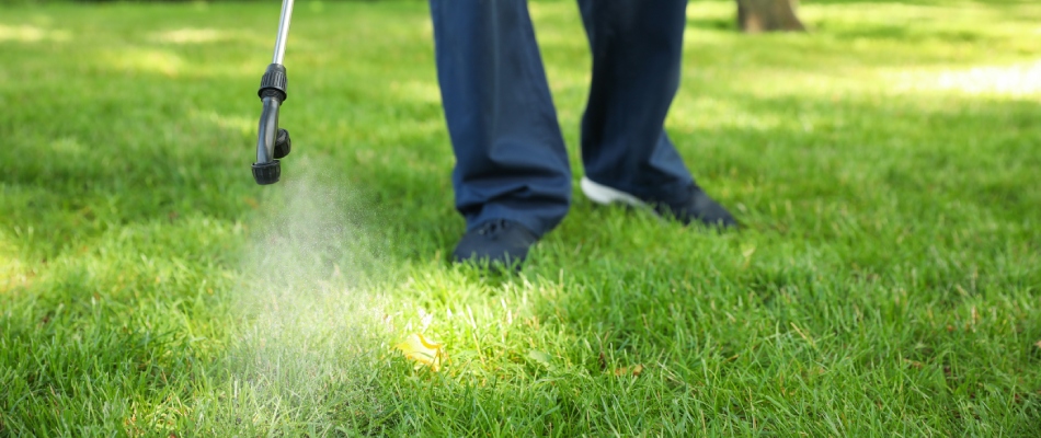 Professional applying weed control treatment to lawn in Fishers, IN.