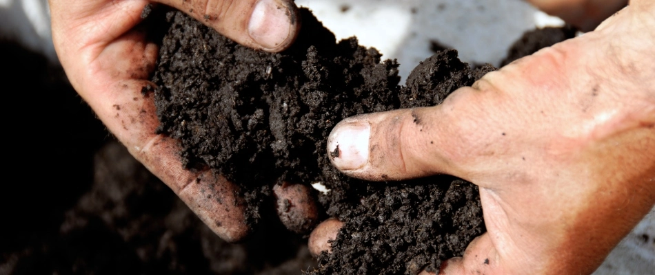 Top soil in professional's hands in Fishers, IN.