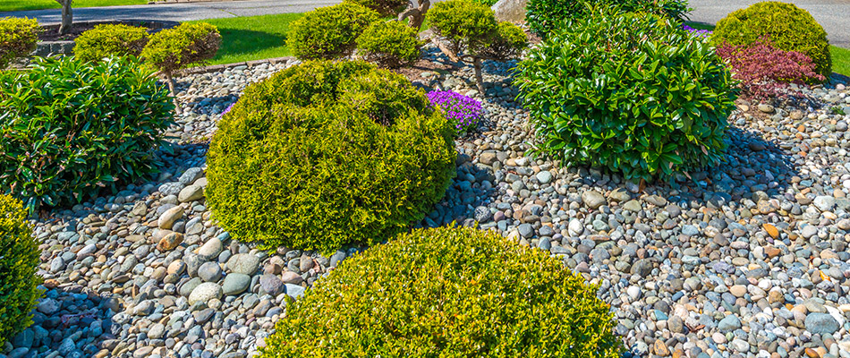 A large landscape bed of well trimmed bushes topped with rocks in Carmel, IN. 