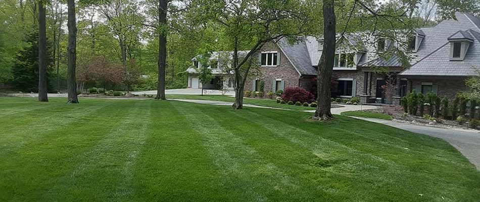 Well fertilized home lawn in Fishers, IN.