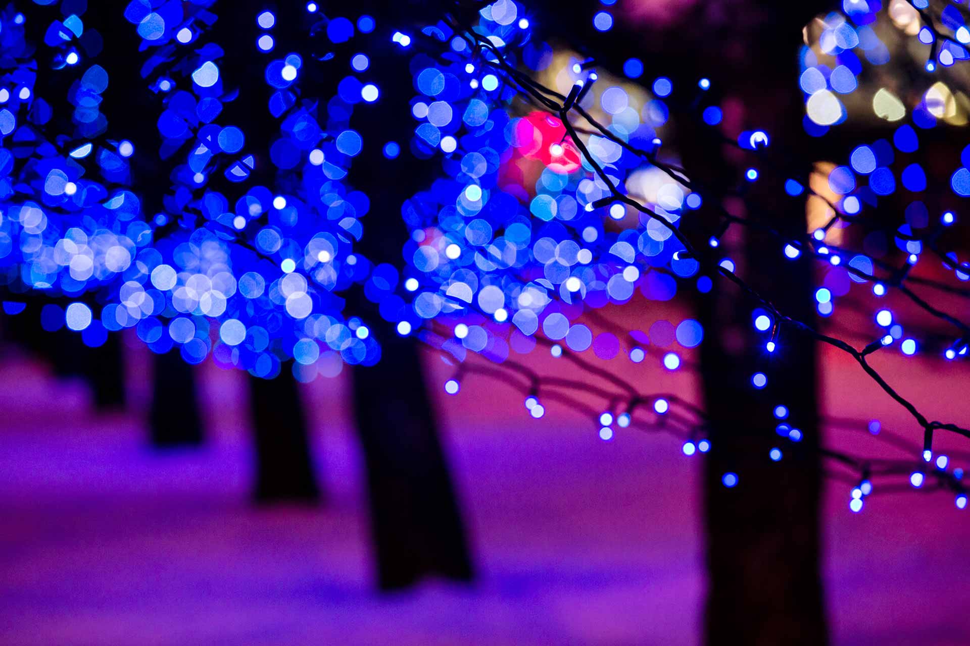 Warm, blue holiday lights installed along a property in Carmel, IN.