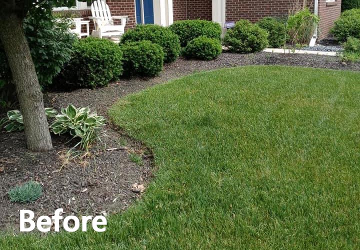 Before photo of a landscape bed renovation in Fishers, IN.