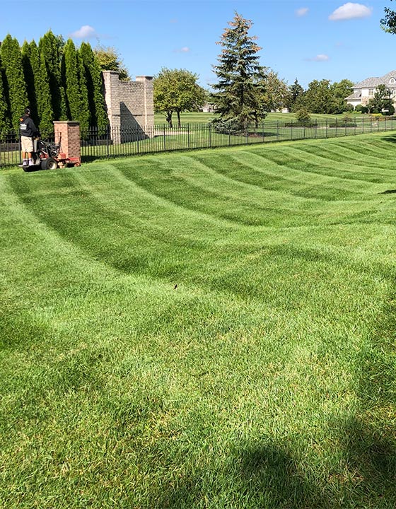 Large yard in Carmel, IN with lawn mowing service.