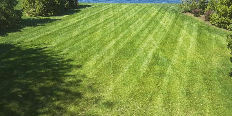 Well maintained home lawn in Fishers, IN.